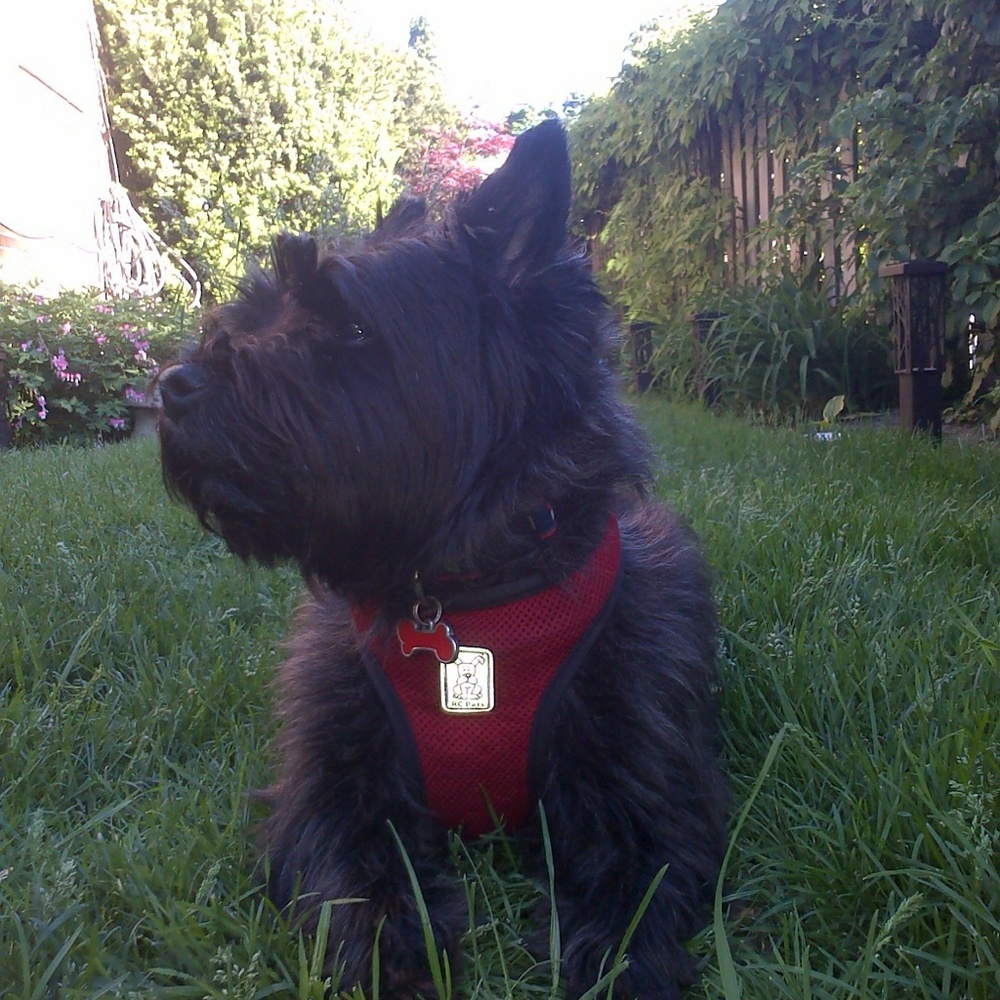 Meet your Posher, Heidi